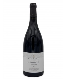 Domaine Berthelemot Pommard les Noizons 2021