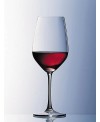 Vina red wine Schott Zwiesel