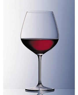 Vina claret Burgundy Schott Zwiesel