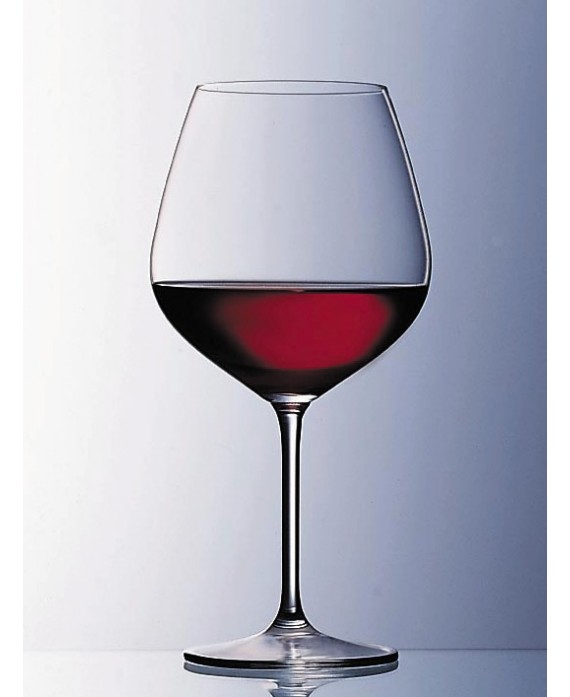 Vina claret Burgundy Schott Zwiesel
