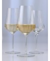 Fine Vin blanc gavi Schott Zwiesel