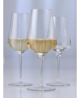 Fine Vin blanc gavi Schott Zwiesel