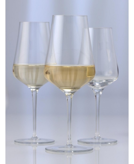 Fine Vin blanc gavi Schott Zwiesel