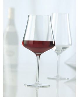 Fine bourgogne Schott Zwiesel