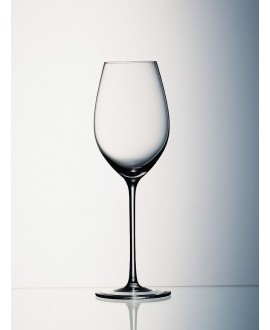 Enoteca Riesling ZWIESEL 1872 