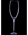 Vinum Champagne Tulipe Riedel