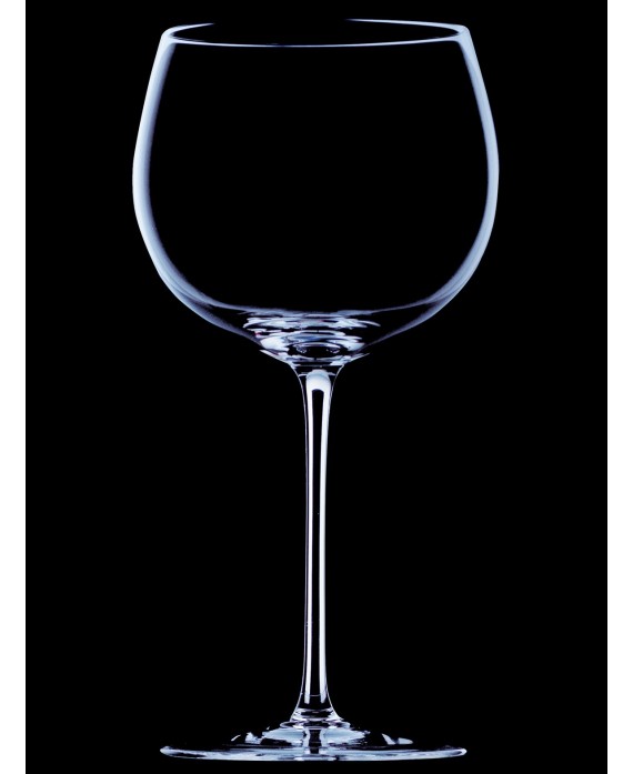 Sommeliers Montrachet Riedel