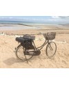 Transbottle 3